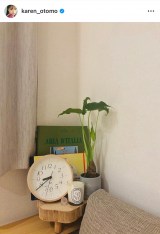 Fԗu䂪ƂɐVɂĂAɌC炤jv  (ʐ^̓CX^O @karen_otomo ) 