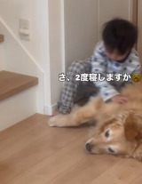 4�Ύ����S�[���f�����g���o�[�̃��[�j���O���[�e�B�� 