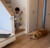 4�Ύ����S�[���f�����g���o�[�̃��[�j���O���[�e�B�� 