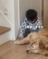 4�Ύ����S�[���f�����g���o�[�̃��[�j���O���[�e�B�� 