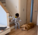 4�Ύ����S�[���f�����g���o�[�̃��[�j���O���[�e�B�� 