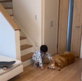 4�Ύ����S�[���f�����g���o�[�̃��[�j���O���[�e�B�� 