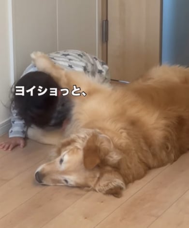 4�Ύ����S�[���f�����g���o�[�̃��[�j���O���[�e�B�� 