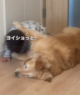 4�Ύ����S�[���f�����g���o�[�̃��[�j���O���[�e�B�� 