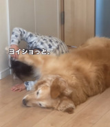 4�Ύ����S�[���f�����g���o�[�̃��[�j���O���[�e�B�� 