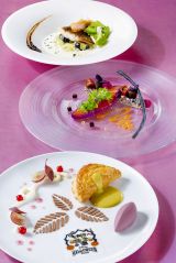 �����f�B�Y�j�[�����h�z�e���u�J���i�v(C)Disney 