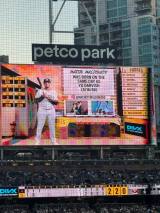 Seiko Darvish �I�t�B�V�����u���O�uLiving in the dream. Enjoying the journey�v��� 