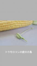 �Ƃ����낱���́g��h��҂�ō������(�摜��:inori���� @kusabanaasobi) 