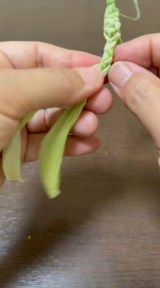 �Ƃ����낱���́g��h���璹����������܂ł̉ߒ�(�摜��:inori���� @kusabanaasobi) 