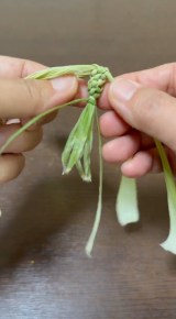 �Ƃ����낱���́g��h���璹����������܂ł̉ߒ�(�摜��:inori���� @kusabanaasobi) 