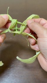 �Ƃ����낱���́g��h���璹����������܂ł̉ߒ�(�摜��:inori���� @kusabanaasobi) 