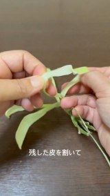 �Ƃ����낱���́g��h���璹����������܂ł̉ߒ�(�摜��:inori���� @kusabanaasobi) 