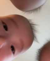 �ꗑ���O�q�̐Ԃ���� 