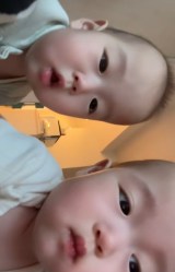 �ꗑ���O�q�̐Ԃ���񎩎B�� 