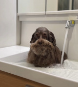 ��䏊�����o�Ă��܂�������邿��� 