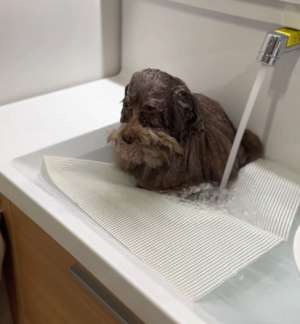 ��䏊�����o�Ă��܂�������邿��� 