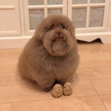 ���グ�Ă��邿��邿��� 