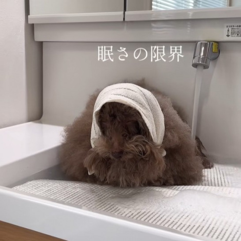 �����C���Ԓ��A�����ɏP���邿��邿��� 