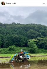 ���M���q�u�����g���Ă��Ȃ��c��ڂ��؂�āA�_����g�킸�ɂ��Ă�����܂��v (�ʐ^�̓C���X�^�O���� @isono_kiriko ���) 