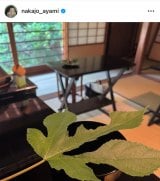 ��������݁u����̂��m�Â͎��[�������̂� �t�W�̂��_�O�v(�ʐ^�̓C���X�^�O����@nakajo_ayami ���) 