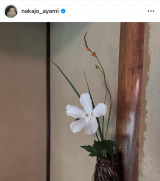 ��������݁u����̂��m�Â͎��[�������̂� �t�W�̂��_�O�v(�ʐ^�̓C���X�^�O����@nakajo_ayami ���) 