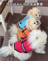 �|�����j�A���̎O�o���i��melkuramarin���j 