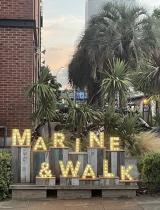 �א쒼���u�C���]���ɉ��l�܂Łv(�ʐ^�͌����u���O���) 