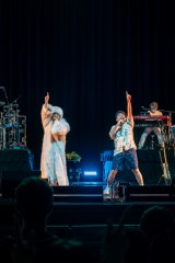 TUBE�A�n���C�����̖͗l 