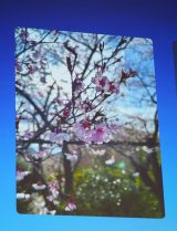 ���P��̍�=�w�\�j�[���� �V�u�����h�A���o�T�_�[�ECM���\��x(C)ORICON NewS inc. 