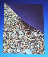 �Ƒ����s�Ō��������l�̃J�j =�w�\�j�[���� �V�u�����h�A���o�T�_�[�ECM���\��x(C)ORICON NewS inc. 