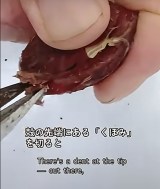 �d���u���̎�v���n�T�~�Ŋ���ƒ�����c(�摜��@bloomingscape) 