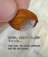 �n���Ĕ��肵�Ȃ������O�N�̎�B(�摜��@bloomingscape) 