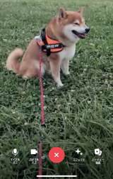 gjRjRhœȂȂ낤i摜񋟁F@kotaro_changj 