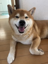 XAJEgE@kotaro_chang̈E낤(ʐ^X) 