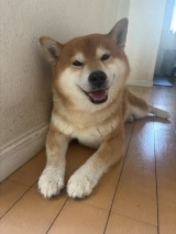 XAJEgE@kotaro_chang̈E낤(ʐ^X) 