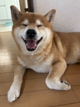 XAJEgE@kotaro_chang̈E낤(ʐ^X) 