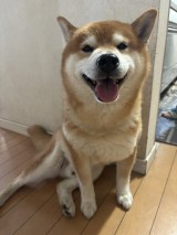 XAJEgE@kotaro_chang̈E낤(ʐ^X) 