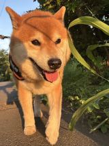 XAJEgE@kotaro_chang̈E낤(ʐ^X) 