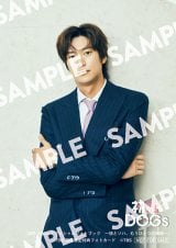 �w����DOGs�I�t�B�V�����t�H�g�u�b�N�`���ƃ\�n�A�����ЂƂ̕���`�x���T���e5 �i�E�C�k 