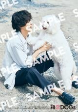 �w����DOGs�I�t�B�V�����t�H�g�u�b�N�`���ƃ\�n�A�����ЂƂ̕���`�x���T���e4 ���j�u�b�N�X�X�y�V�����G�f�B�V���� 