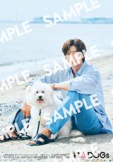 �w����DOGs�I�t�B�V�����t�H�g�u�b�N�`���ƃ\�n�A�����ЂƂ̕���`�x���T���e4 ���j�u�b�N�X�X�y�V�����G�f�B�V���� 