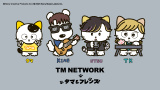 TM NETWORKo[g^}tYhɁI`낵ObY̔ 
