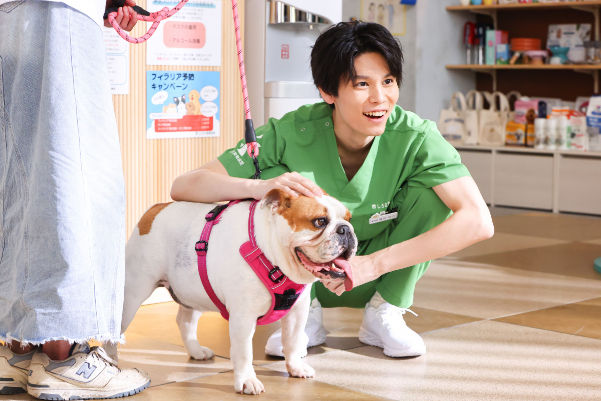 萩原利久『初恋DOGs』で見せる“陽キャ”な動物看護師「撮影現場の