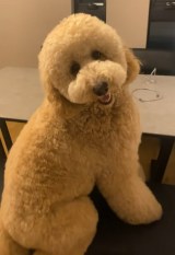 �����傳��ɋC�Â��Ƃɂ�����Ί�̂날����(@loa_.lulu���) 