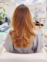 �n�Ӕ��ޑ�u��銪���v(�n�Ӕ��ޑ�I�t�B�V�����u���O���) 