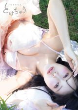 �ē��D��2nd�ʐ^�W�w�Ƃ����Ⴄ�x(tulle)���e �ʐ^/�o�؏��v 