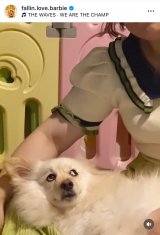 �o�[�r�[�u�ŋ߂̉䂪�Ƃ͓y��Ƀn�}���Ă��܂��v(�ʐ^�̓C���X�^�O���� @fallin.love.barbie ���) 