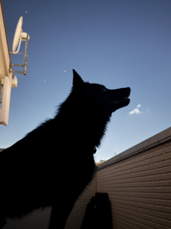 X�A�J�E���g�E������i@u_sin�j�̈����E�r�r����i�ʐ^��X���j 