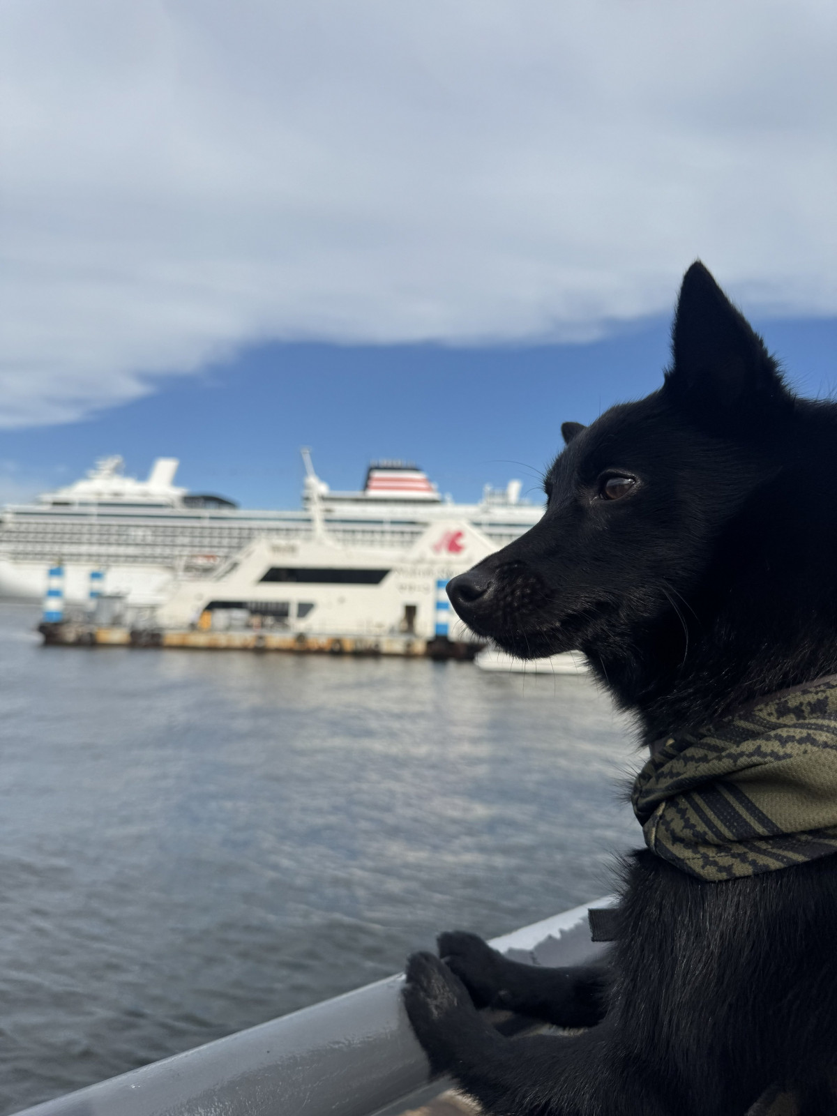 XAJEgE(@u_sin)̈Err(ʐ^X) 