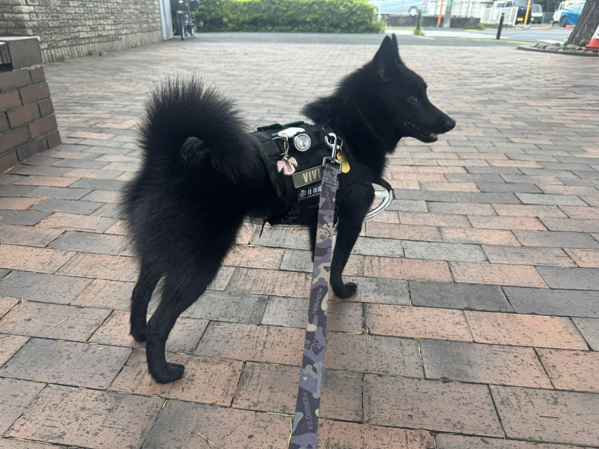 XAJEgE(@u_sin)̈Err(ʐ^X) 